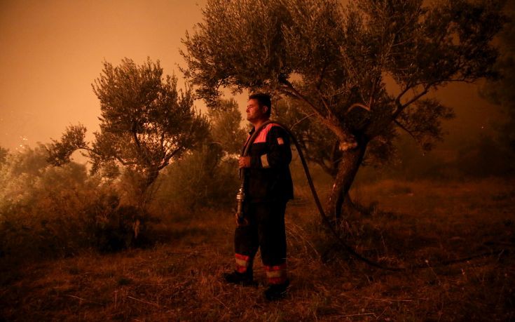 Νέα δασική πυρκαγιά στην Κεφαλονιά