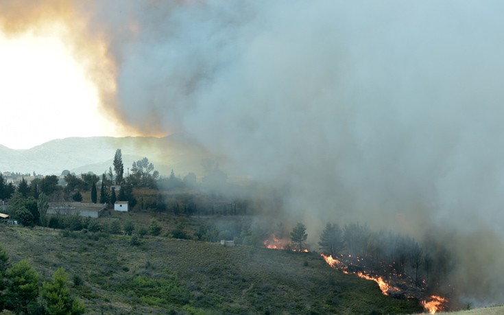 Δύο πυρκαγιές σε εξέλιξη σε Φάρσαλα και Κιλελέρ