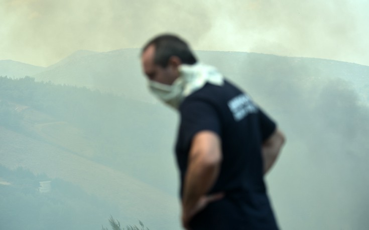 Πυρκαγιά σε δάσος στο Καρπενήσι