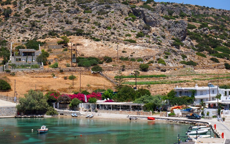 ΣΧΟΙΝΟΥΣΑ