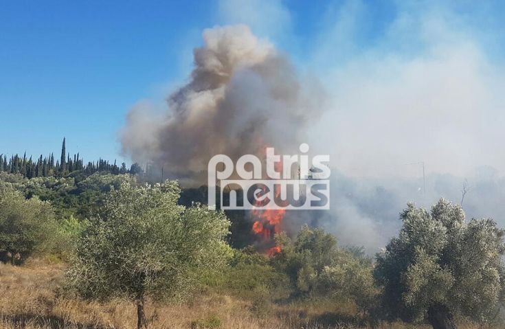 Πυρκαγιά σε δασική έκταση στην Αρήνη του δήμου Ζαχάρως