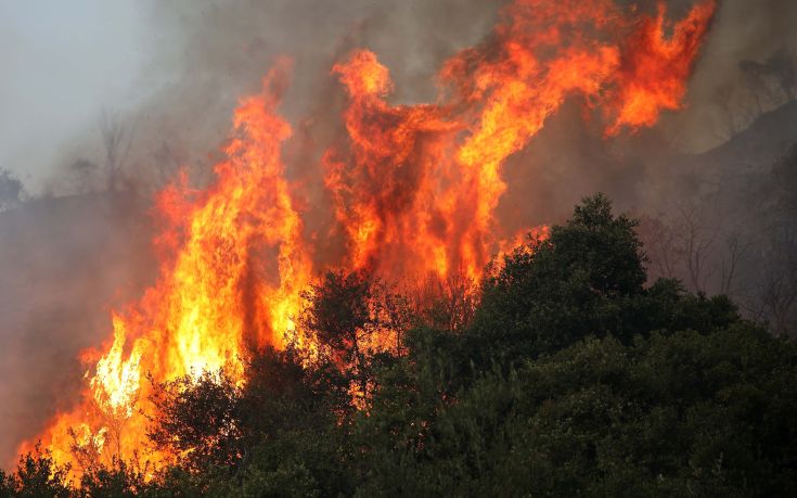 Ολονύχτια μάχη των πυροσβεστών στην πυρκαγιά της Κασσάνδρας