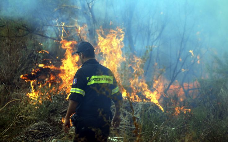 Φωτιά στους Αντιφιλίππους του δήμου Παγγαίου: 300 στρέμματα παραδόθηκαν στις φλόγες