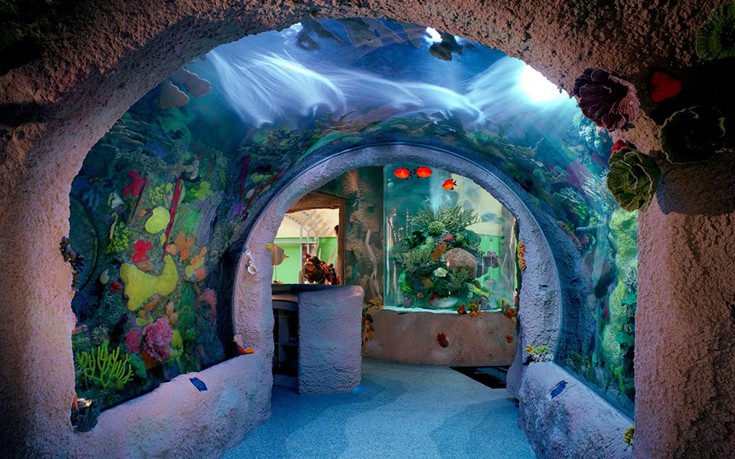 aquariumres3