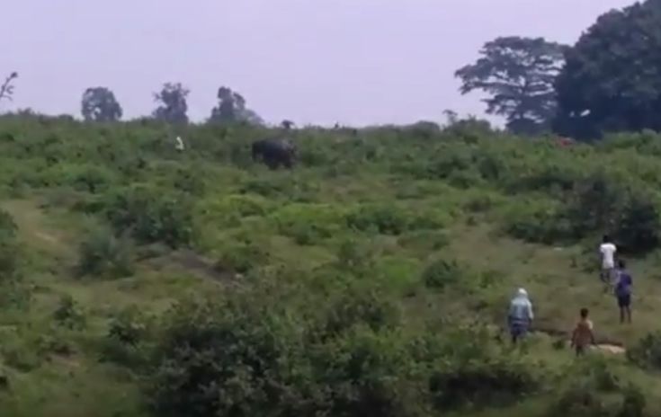 Προσπάθησε να βγάλει selfie με ελέφαντα και βρήκε φριχτό θάνατο