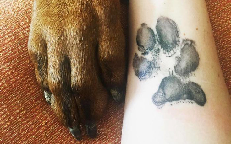 Πατούσες σκύλων έγιναν τατουάζ