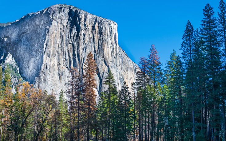 Βράχος καταπλάκωσε άνδρα στο εθνικό πάρκο Yosemite στην Καλιφόρνια