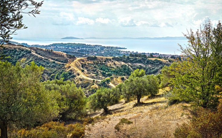 Σιθωνία Χαλκιδική