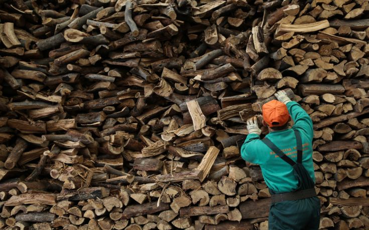 Φθηνότερη ξυλεία φέτος στους κατοίκους των ορεινών περιοχών