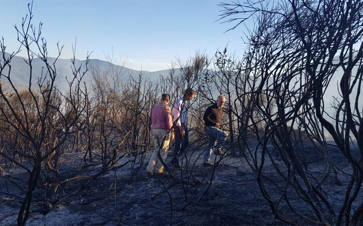 Μπακογιάννης για φωτιά στο Καρπενήσι: Αποφύγαμε τα χειρότερα