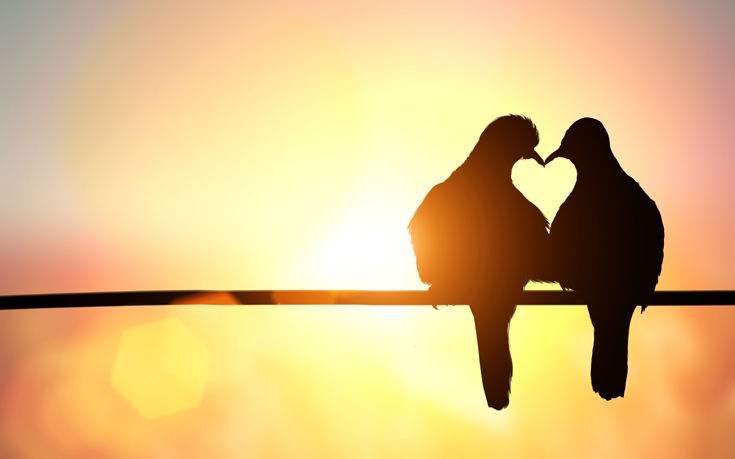 Ο αμερικανικός ΕΟΦ καταλήγει πως η αγάπη δεν είναι συστατικό