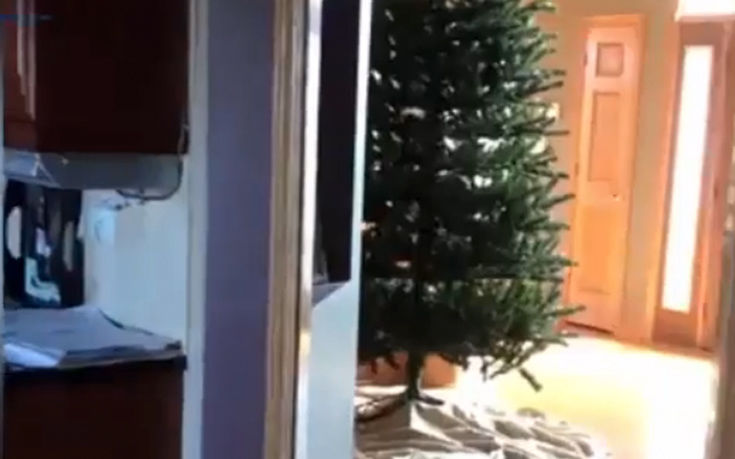 Πού μπορεί να κοιμηθεί μια γάτα όταν έρχονται τα Χριστούγεννα