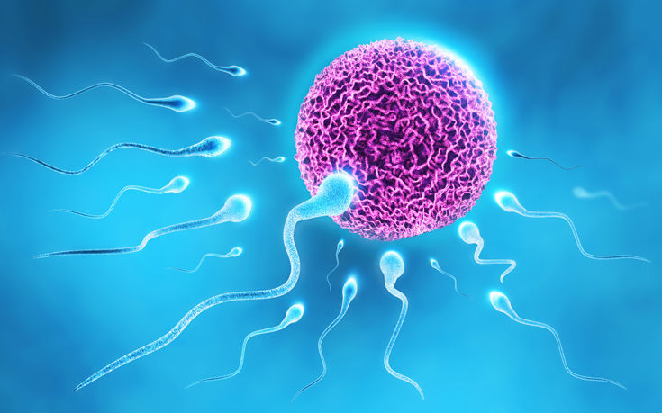 Τα mRNA εμβόλια δεν επηρεάζουν το σπέρμα και την ανδρική γονιμότητα