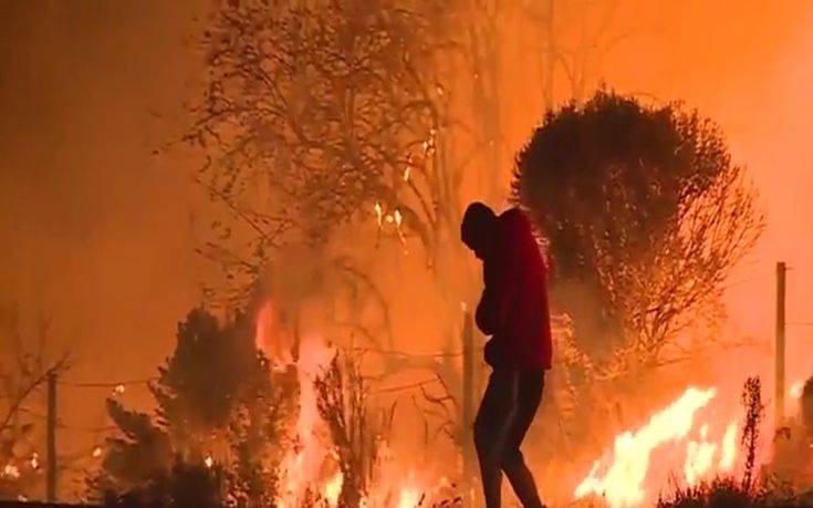 Άνδρας σώζει ένα κουνέλι από τις φλόγες στην Καλιφόρνια