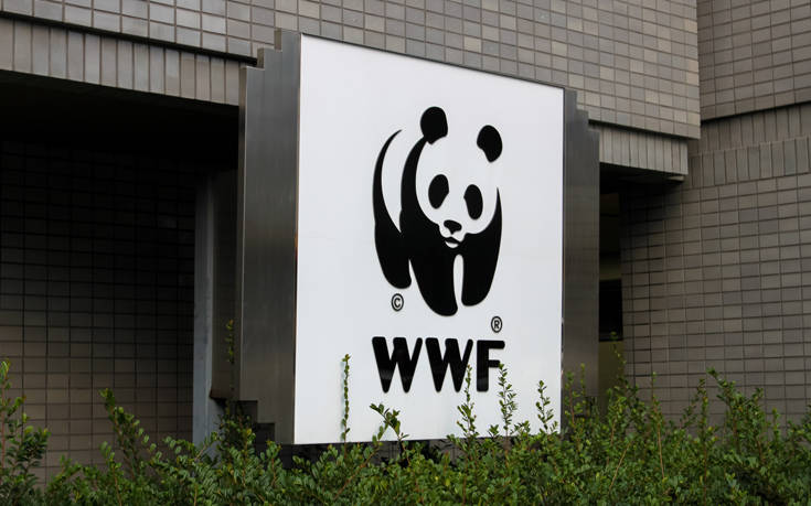 Ανεπιθύμητη οργάνωση στη Ρωσία η WWF