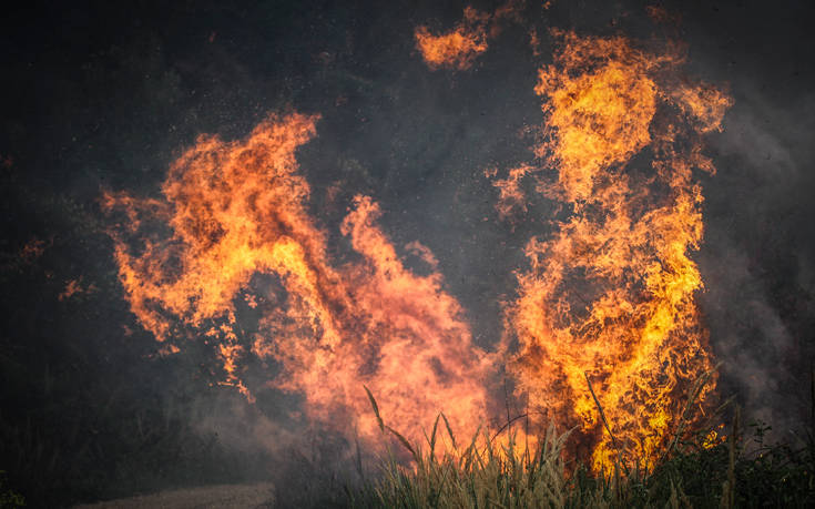 ΠΥΡΚΑΓΙΑ ΗΛΕΙΑ ΠΥΡΚΑΓΙΑ ΗΛΕΙΑ