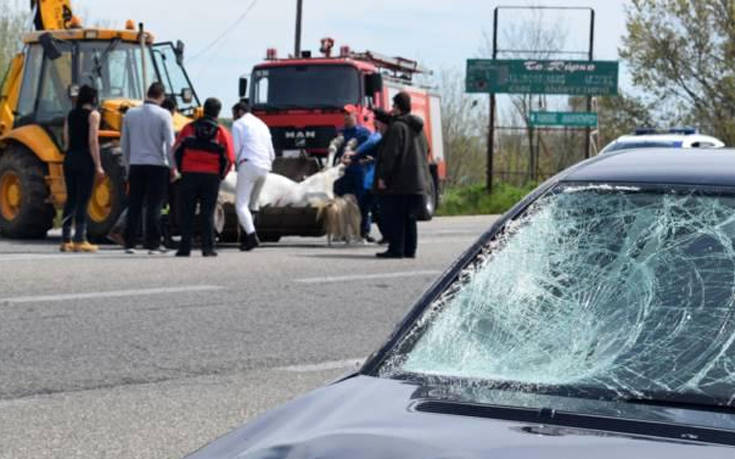 Σφοδρή σύγκρουση οχήματος με άλογο στην εθνική Ξάνθης-Κομοτηνής