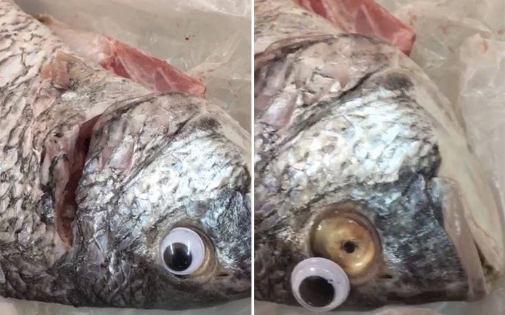 Έβαζαν ψεύτικα μάτια στα ψάρια για να μοιάζουν… φρεσκότατα