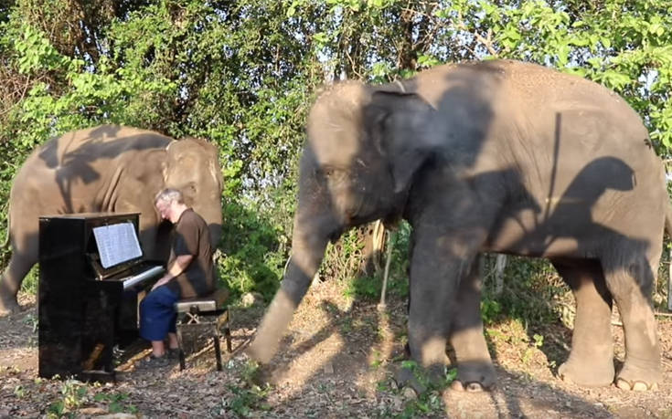 Ανακουφίζει ελέφαντες που υποφέρουν με… κλασικές μελωδίες