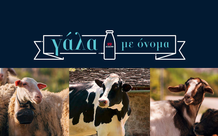 Η ΔΩΔΩΝΗ γιορτάζει την Παγκόσμια Ημέρα Γάλακτος για 4η συνεχόμενη χρονιά