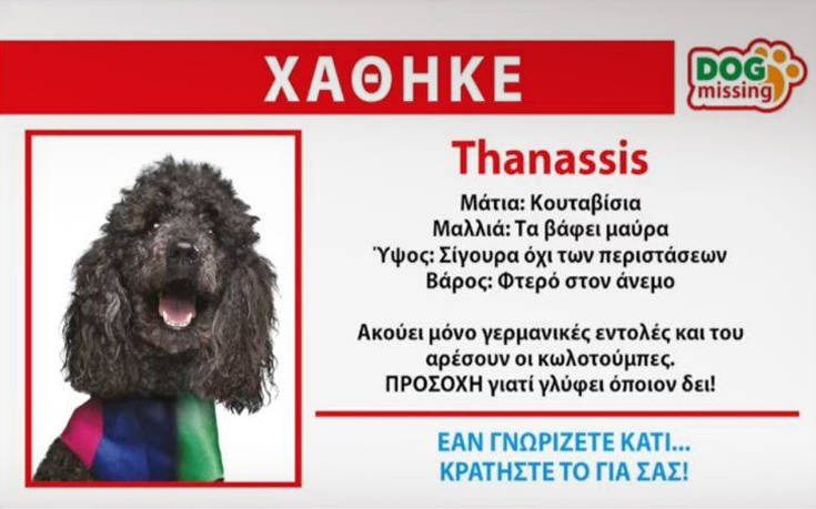 Ευρωεκλογές 2019: Χάθηκε ο «Thanassis» των ΑΝΕΛ, αν τον βρείτε κρατήστε τον