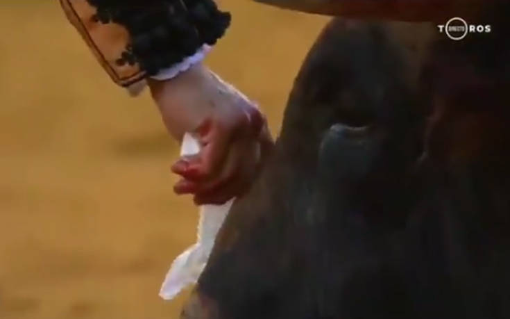 Ταυρομάχος σκουπίζει τα δάκρυα του ζώου λίγο πριν το σκοτώσει