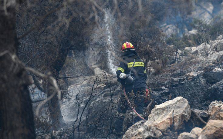 ΣΥΡΙΖΑ: Αδικαιολόγητος ο αποκλεισμός της Ηπείρου από τον διαγωνισμό για πρόσληψη εποχικών πυροσβεστών