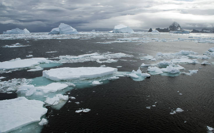 Παράξενα πλάσματα ανακαλύφθηκαν τυχαία κάτω από τους θαλάσσιους πάγους της Ανταρκτικής