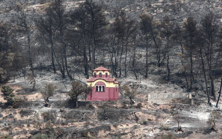 Τι κάηκε στην Εύβοια, η δορυφορική καταγραφή της καταστροφής