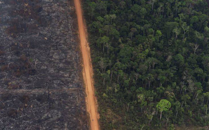 Σε υψηλό 12ετίας έφτασε το 2020 η αποψίλωση του Αμαζονίου στη Βραζιλία