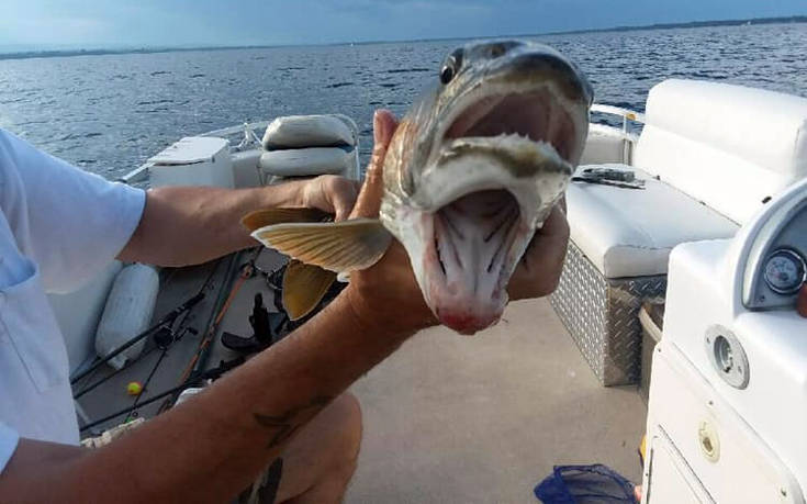 Ψάρι με δυο στόματα έπιασε γυναίκα σε λίμνη της Νέας Υόρκης