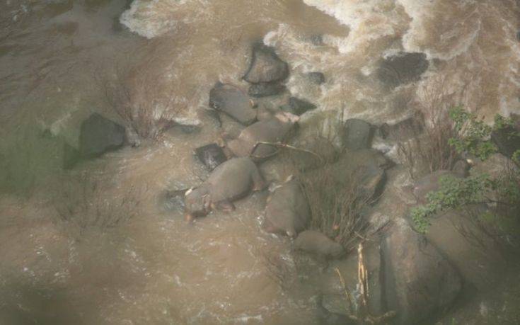 Πέντε ελέφαντες πνίγηκαν προσπαθώντας να σώσουν ελεφαντάκι σε καταρράκτη στην Ταϊλάνδη