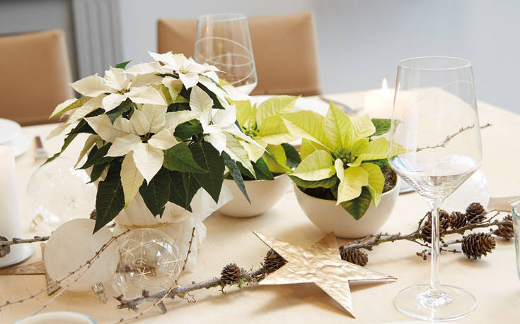 Οι πιο όμορφες ιδέες για να στολίσετε το τραπέζι των Χριστουγέννων με αλεξανδρινά