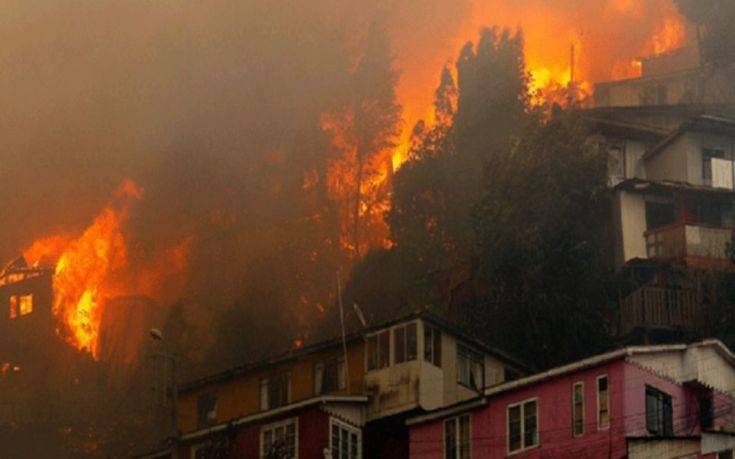 Χιλή: Καταφύγιο για τα κατοικίδια που έμειναν άστεγα από τη πυρκαγιά στο Βαλπαραΐσο
