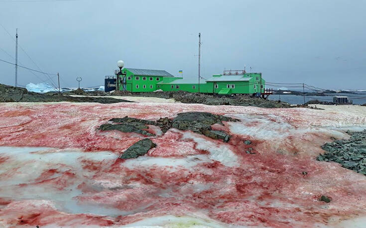 Γιατί βάφτηκε κόκκινος ο πάγος της Ανταρκτικής;