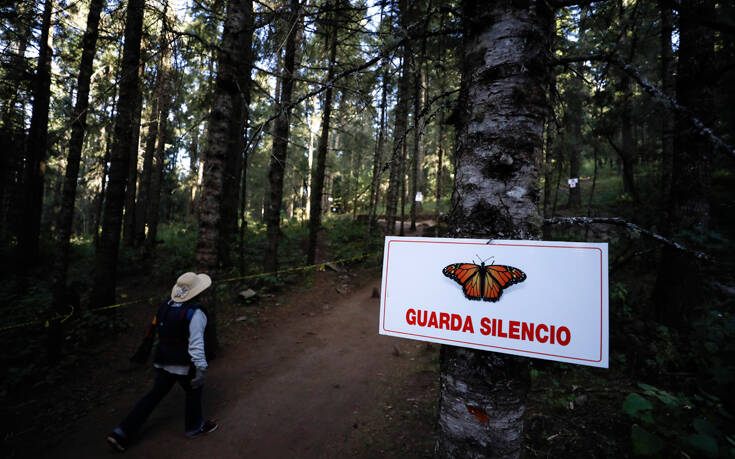 Εντοπίστηκε το πτώμα και δεύτερου οικολόγου μέσα σε μια εβδομάδα στο Μεξικό