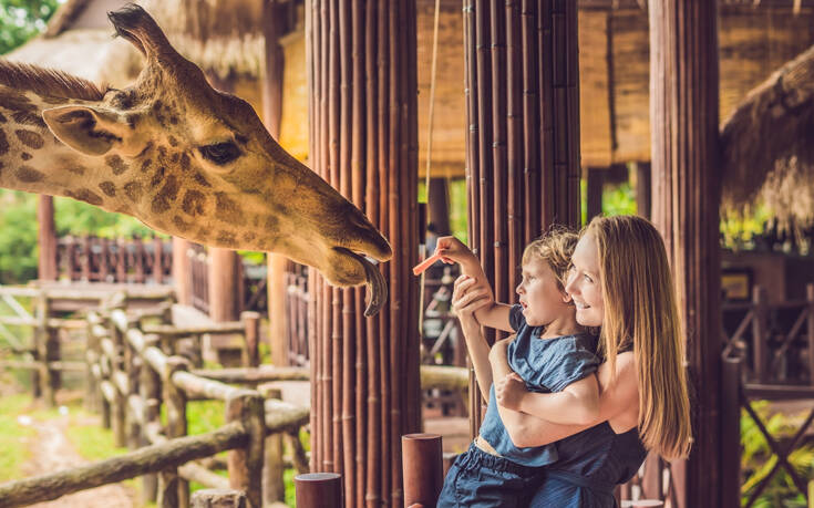 Κάντε μια εικονική βόλτα με τα παιδιά σας σε ζωολογικό κήπο και ενυδρείο