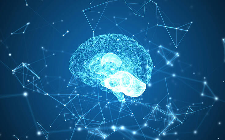 «Χάρτης» δείχνει πώς ο ανθρώπινος εγκέφαλος μεγαλώνει γρήγορα και μετά συρρικνώνεται