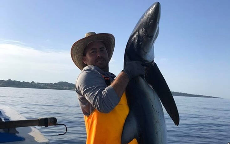 Ψαράς στον Πύργο «έβγαλε» δίμετρο μπλε καρχαρία 48 κιλών