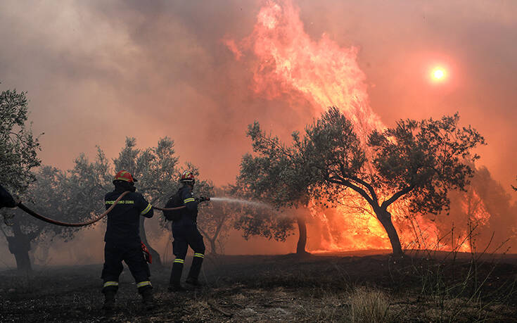 Φωτιά τώρα στο Τρίκορφο Ναυπακτίας – Μεγάλη δύναμη της πυροσβεστικής στο σημείο