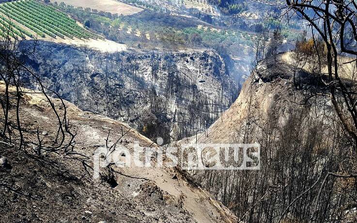 Θλιβερές εικόνες στα χωριά της Ολυμπίας: Στάχτη και καμμένη γη άφησε πίσω της η μεγάλη φωτιά