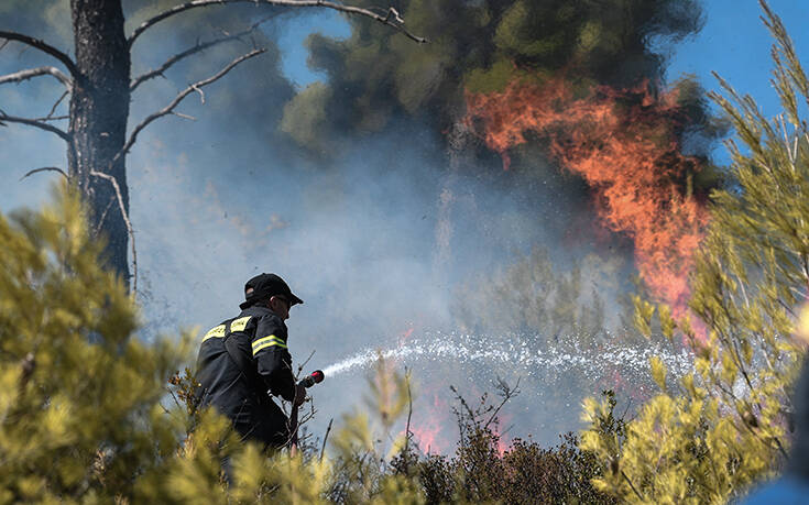 Χωρίς ενεργό μέτωπο η πυρκαγιά στη Νέα Μάκρη &#8211; Υπό μερικό έλεγχο αυτή στο ρέμα Κοκκιναρά
