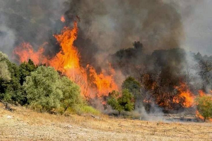 Πολύ υψηλός ο κίνδυνος πυρκαγιάς σε Αττική κι άλλες πέντε περιφέρειες της χώρας αύριο Κυριακή 20 Αυγούστου