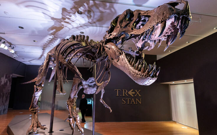 O δεινόσαυρος Stan και το γκραν φινάλε των 27,5 εκατ. δολαρίων στη δημοπρασία του Christie&#8217;s
