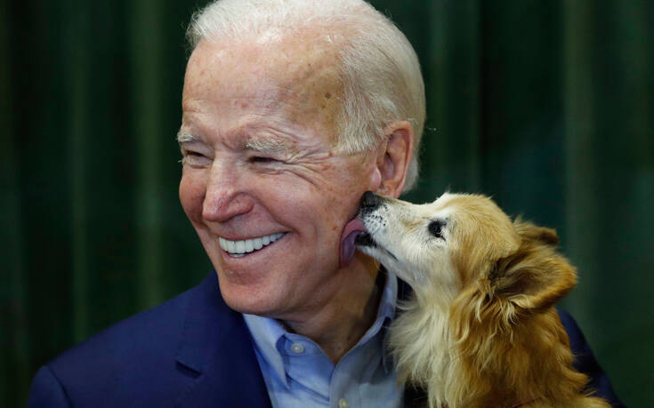Εκλογές ΗΠΑ 2020: Τα σκυλιά επιστρέφουν στον Λευκό Οίκο