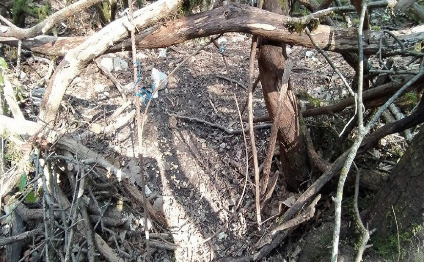 Παγίδα θανάτου από κυνηγό στα Γιάννενα: Συνέδεσε σκανδάλη γεμάτου όπλου με πετονιά