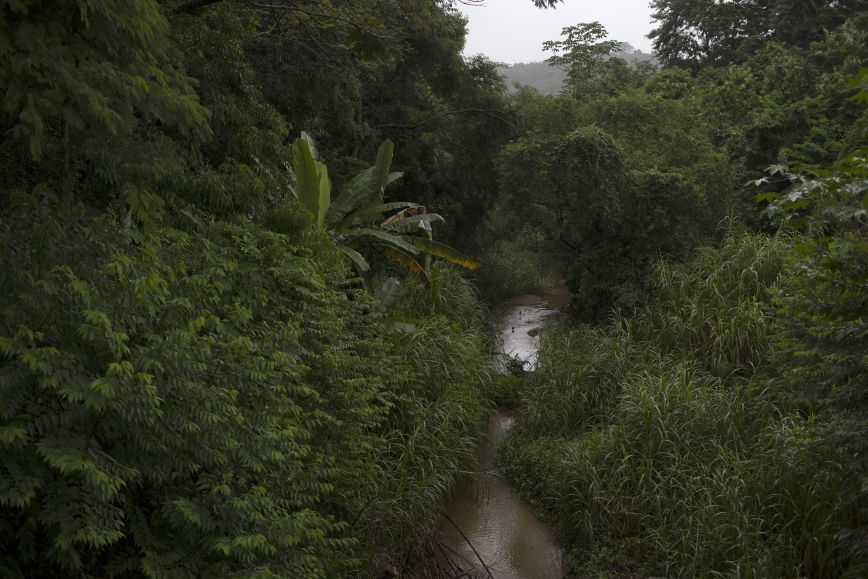 Βραζιλία: Εγκρίθηκαν από τον Μπολσονάρου περικοπές δαπανών για το περιβάλλον