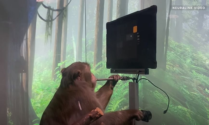 Mαϊμού παίζει βιντεοπαιχνίδι μόνο μέσω το νου της &#8211; Δείτε το βίντεο