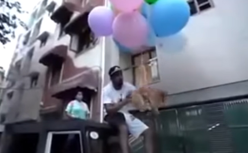 Οργή για YouTuber που έδεσε μπαλόνια στον σκύλο του για να πετάξει