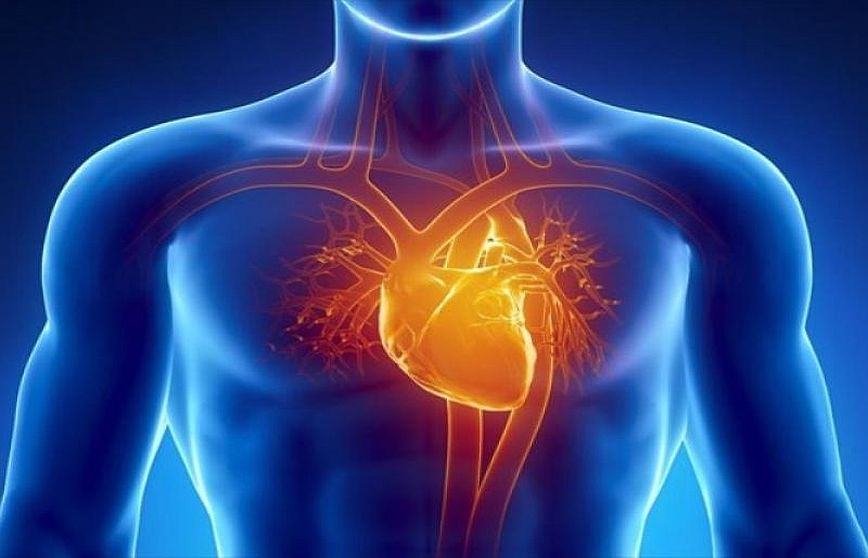 Καθηγητής Καρδιολογίας: Πώς ξεχωρίζουμε τις απλές παρενέργειες των εμβολίων από τις καρδιακές επιπλοκές